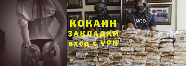 стафф Алзамай