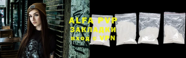 стафф Алзамай