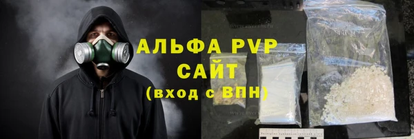 эйфоретик Покачи