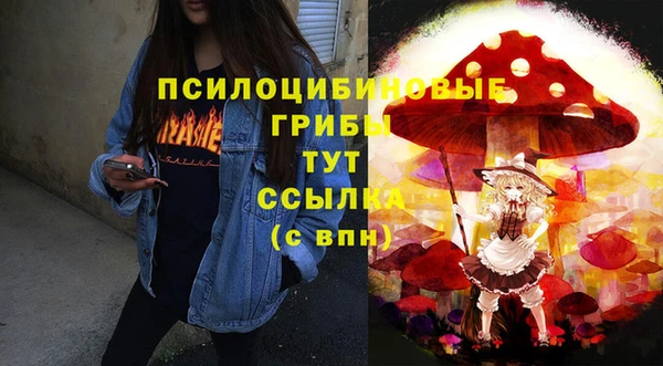 синтетический гашиш Алексеевка