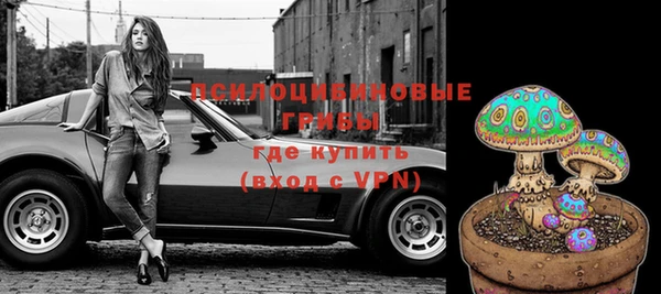 твердый Алексин