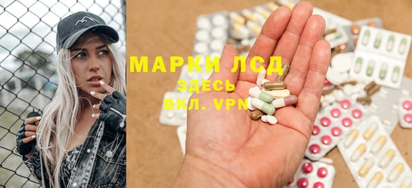 стафф Алзамай